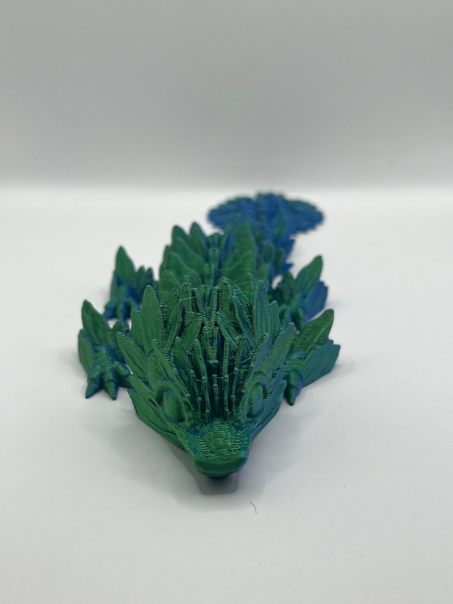Small Coral Reef Dragons