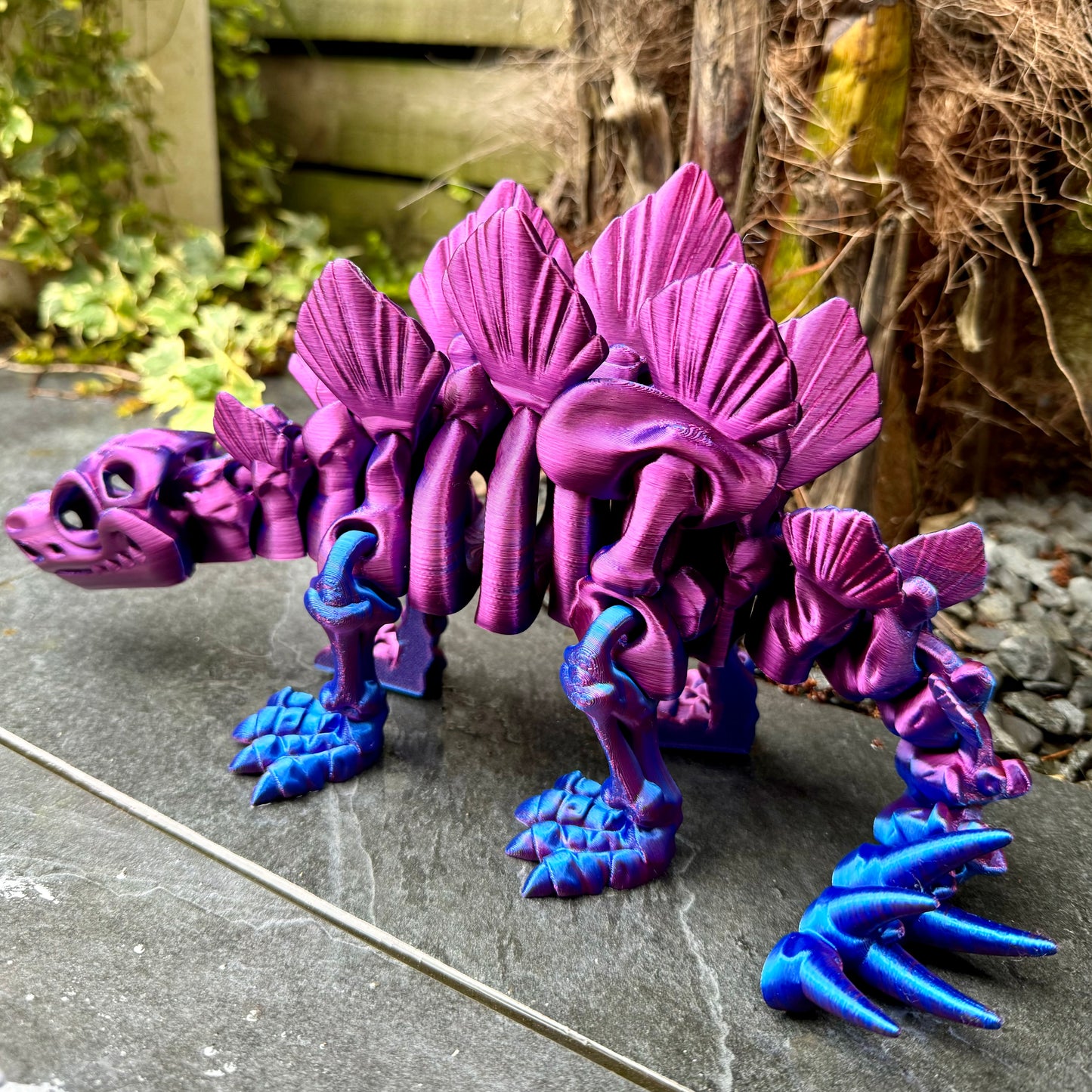 Skeleton Stegosaurus
