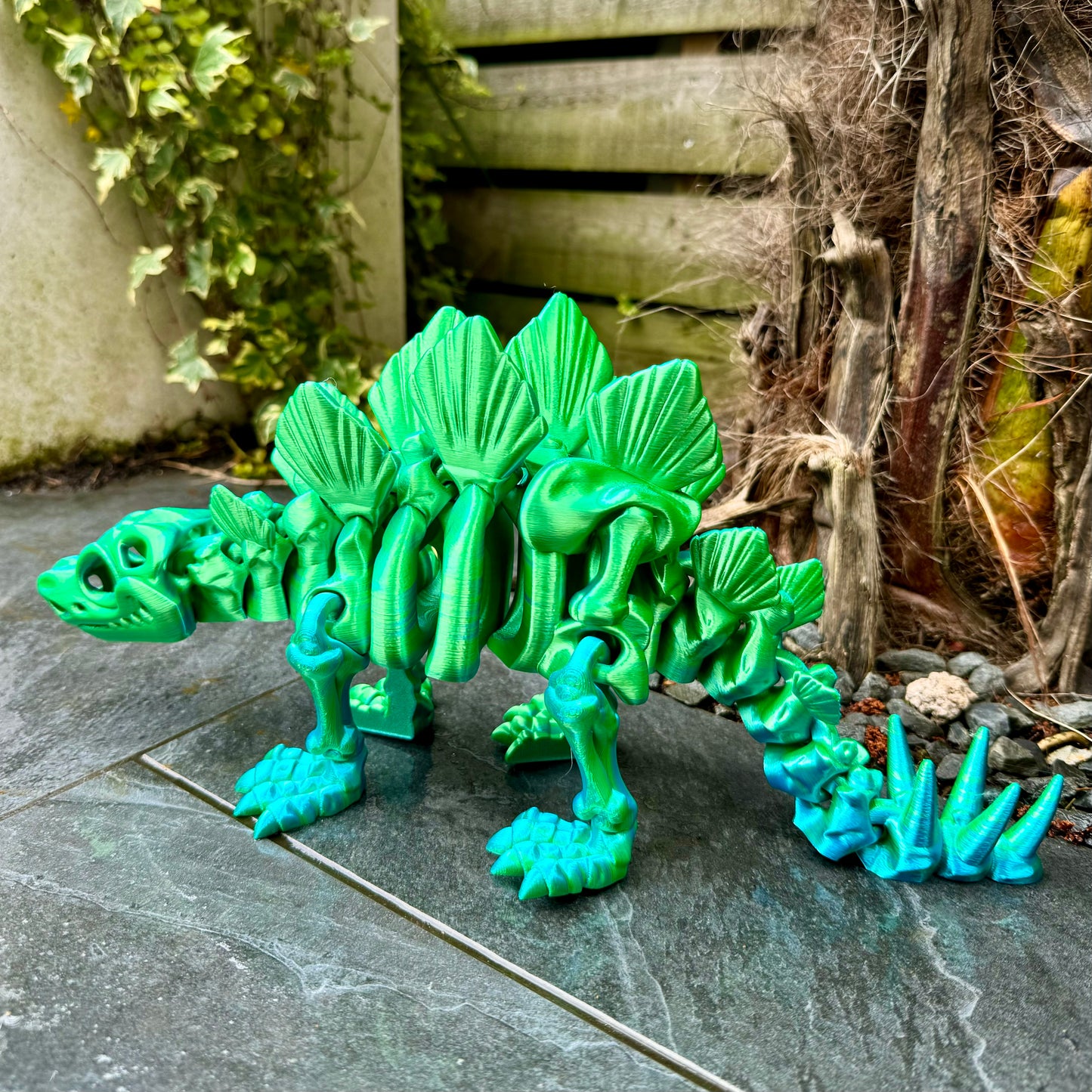 Skeleton Stegosaurus