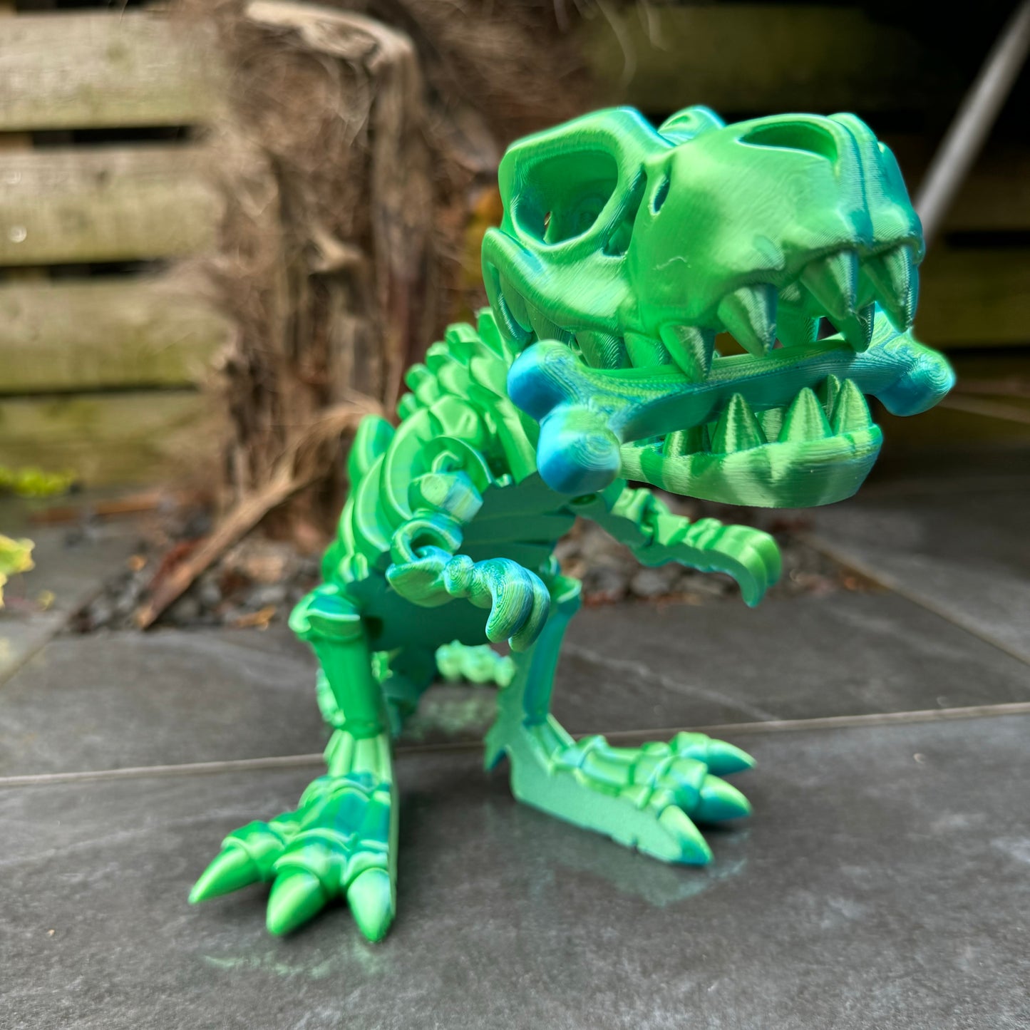 Skeleton T-Rex