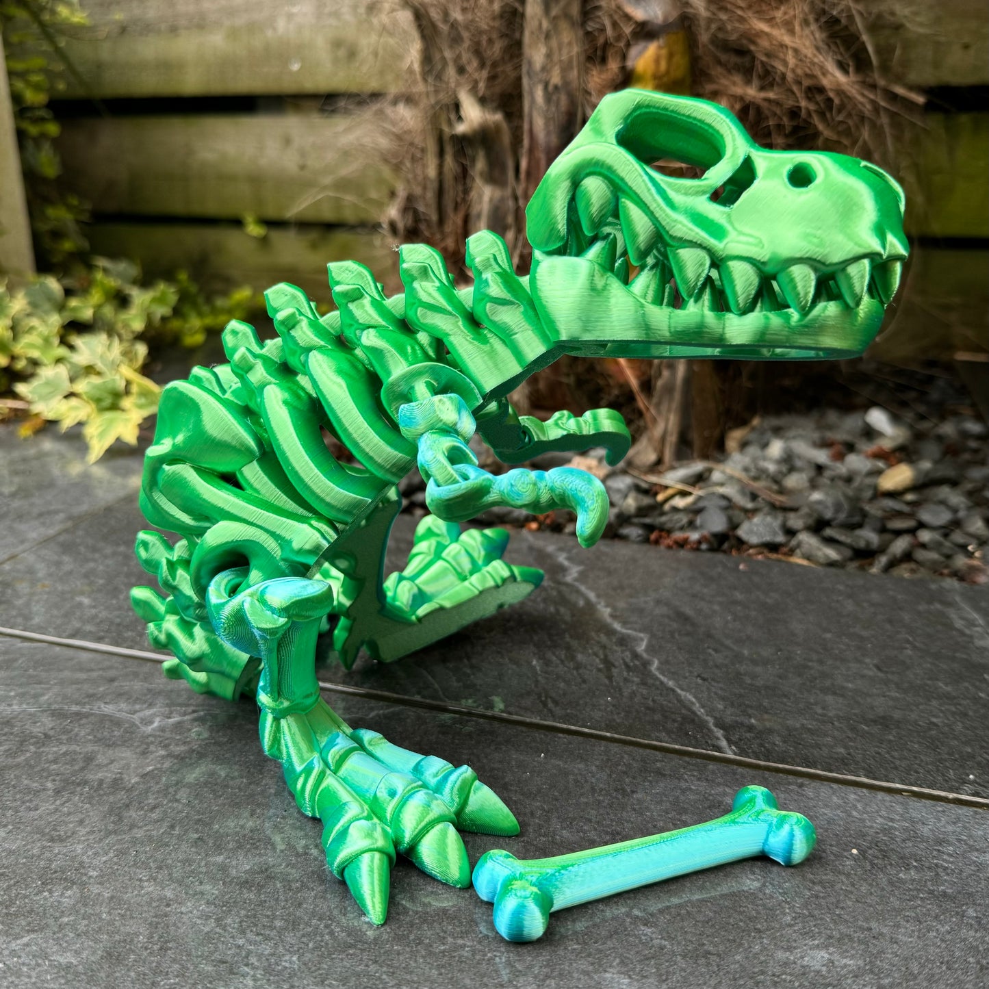Skeleton T-Rex