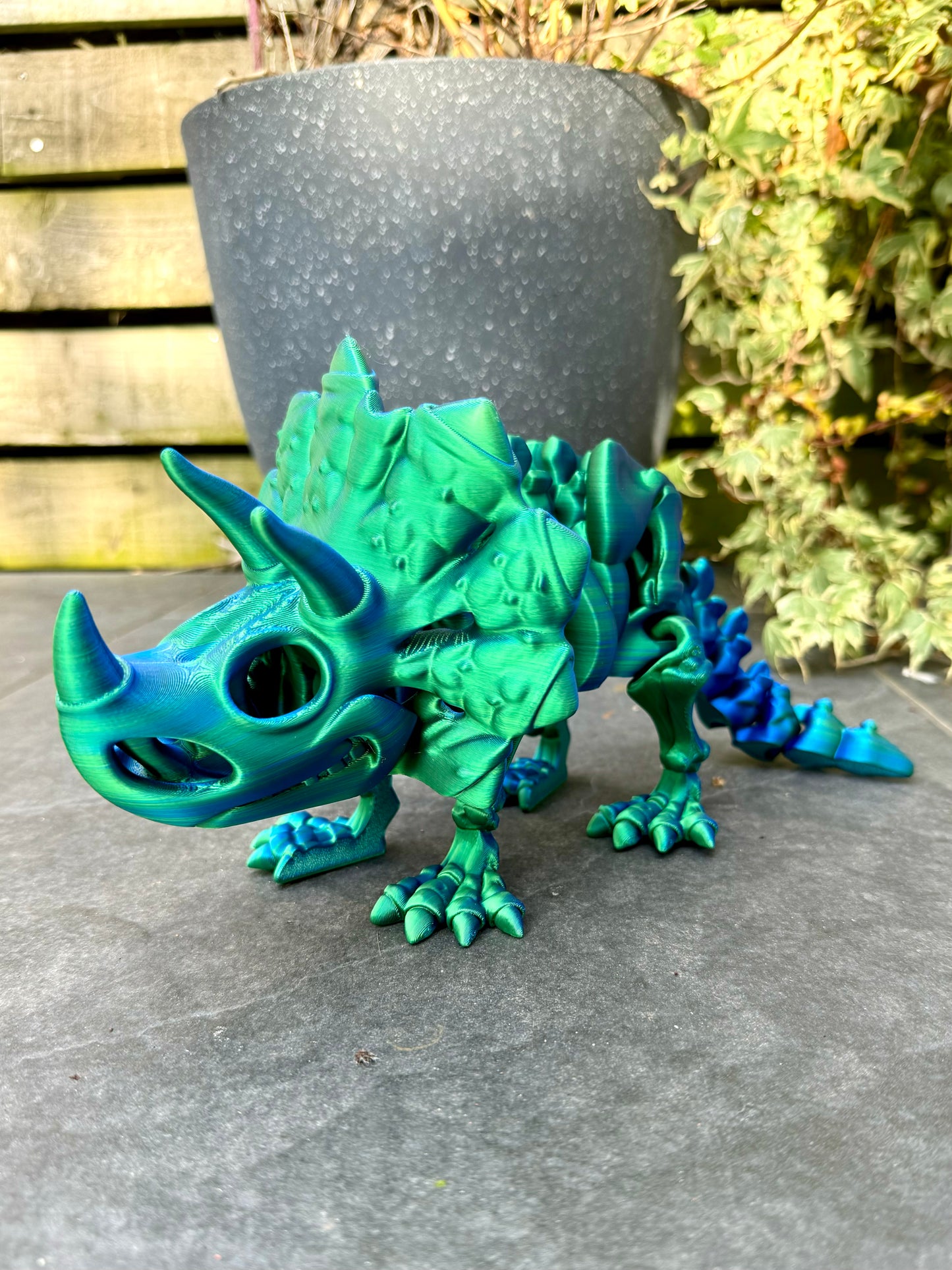 Skeleton Triceratops