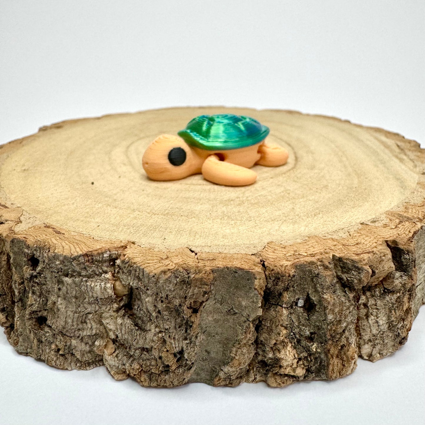 Articulated Turtle mini