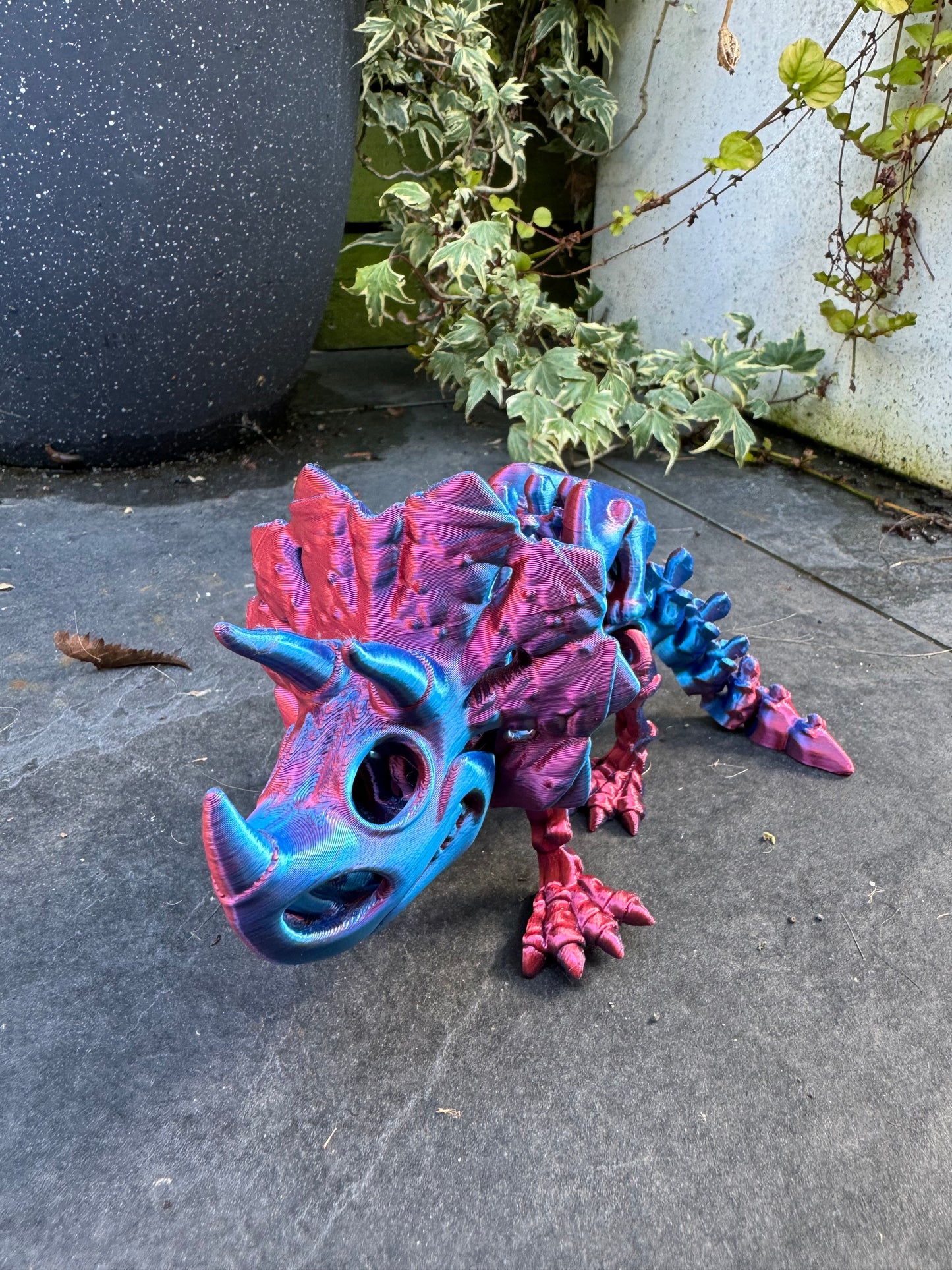 Skeleton Triceratops