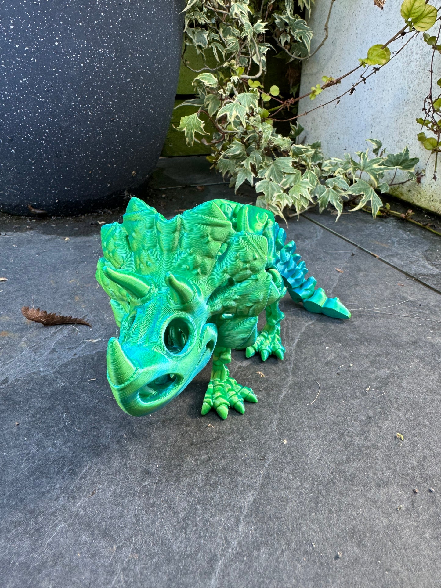 Skeleton Triceratops