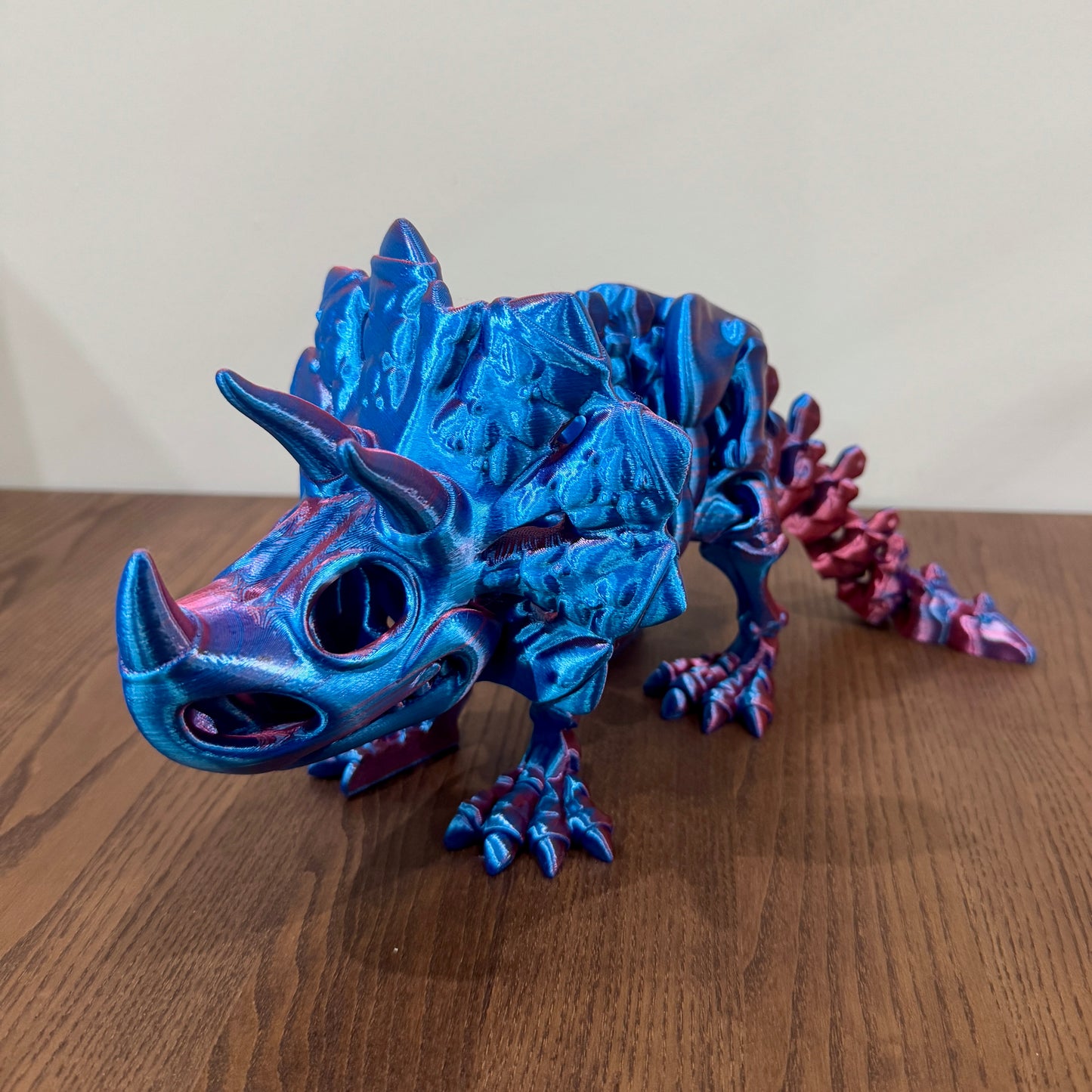 Skeleton Triceratops