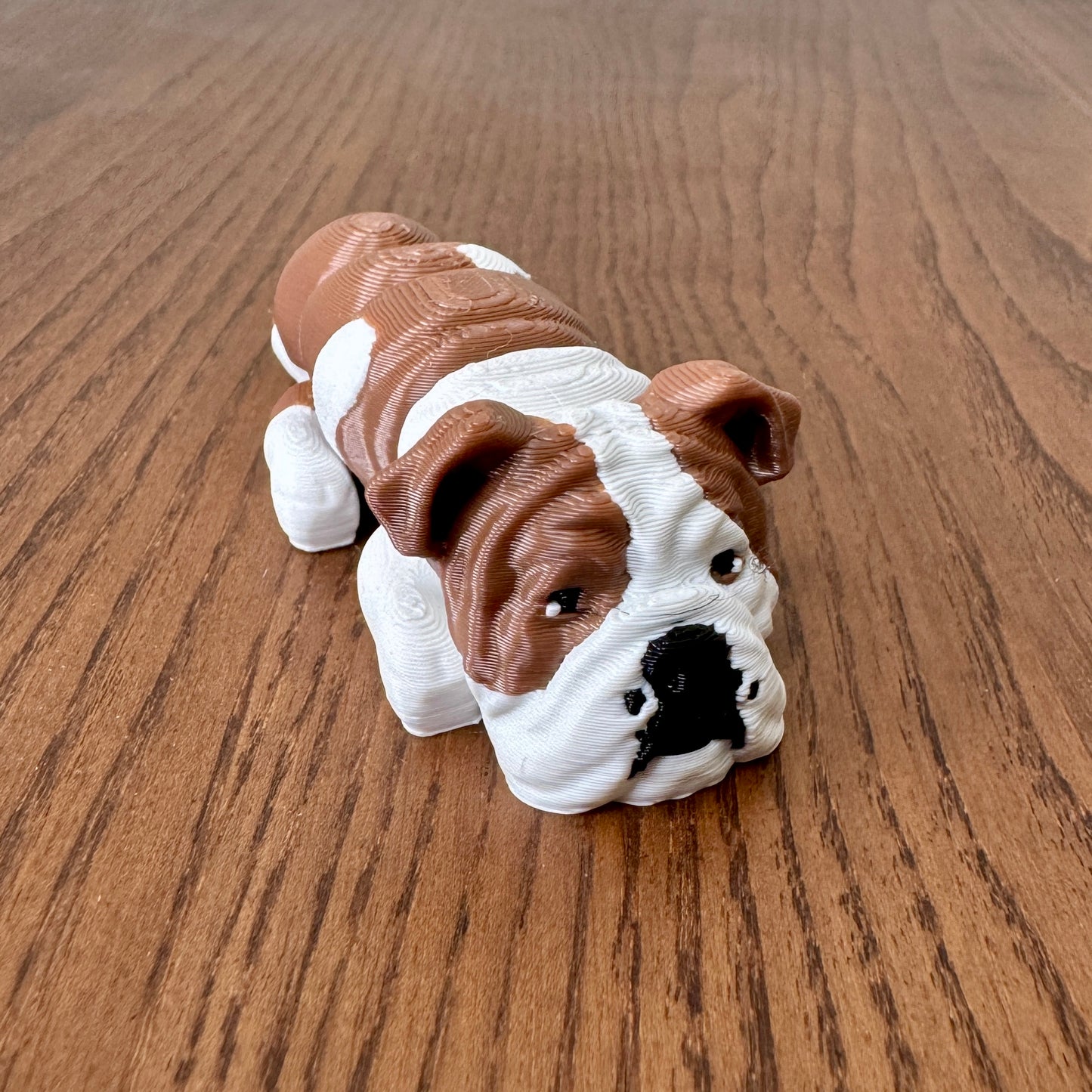 English bulldog