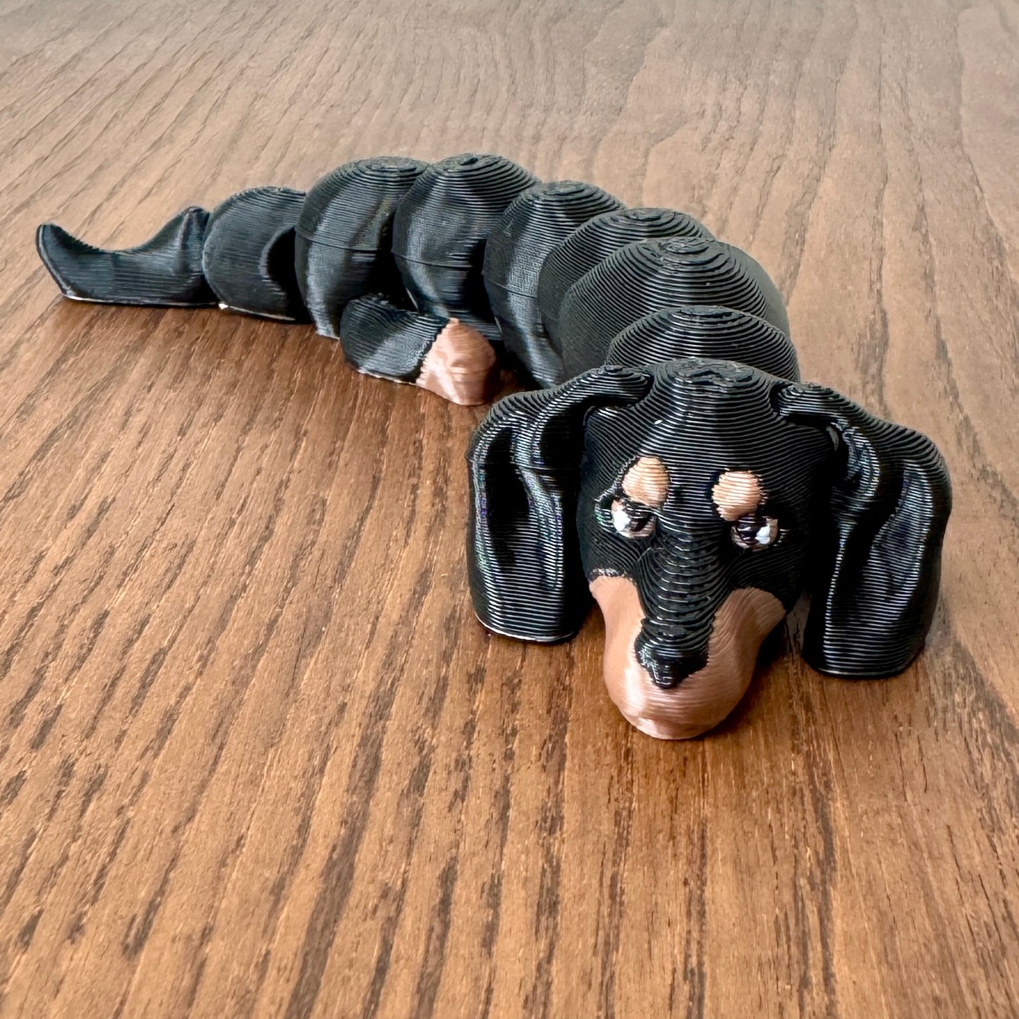 sausage dog