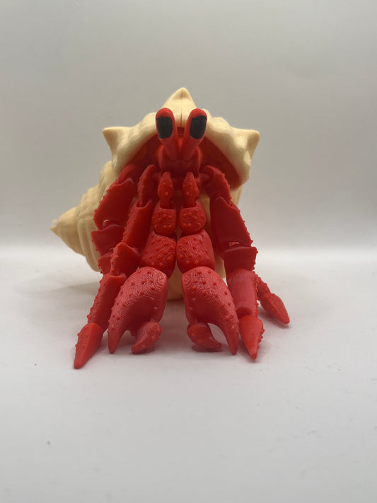 Articulated Hermit Crab