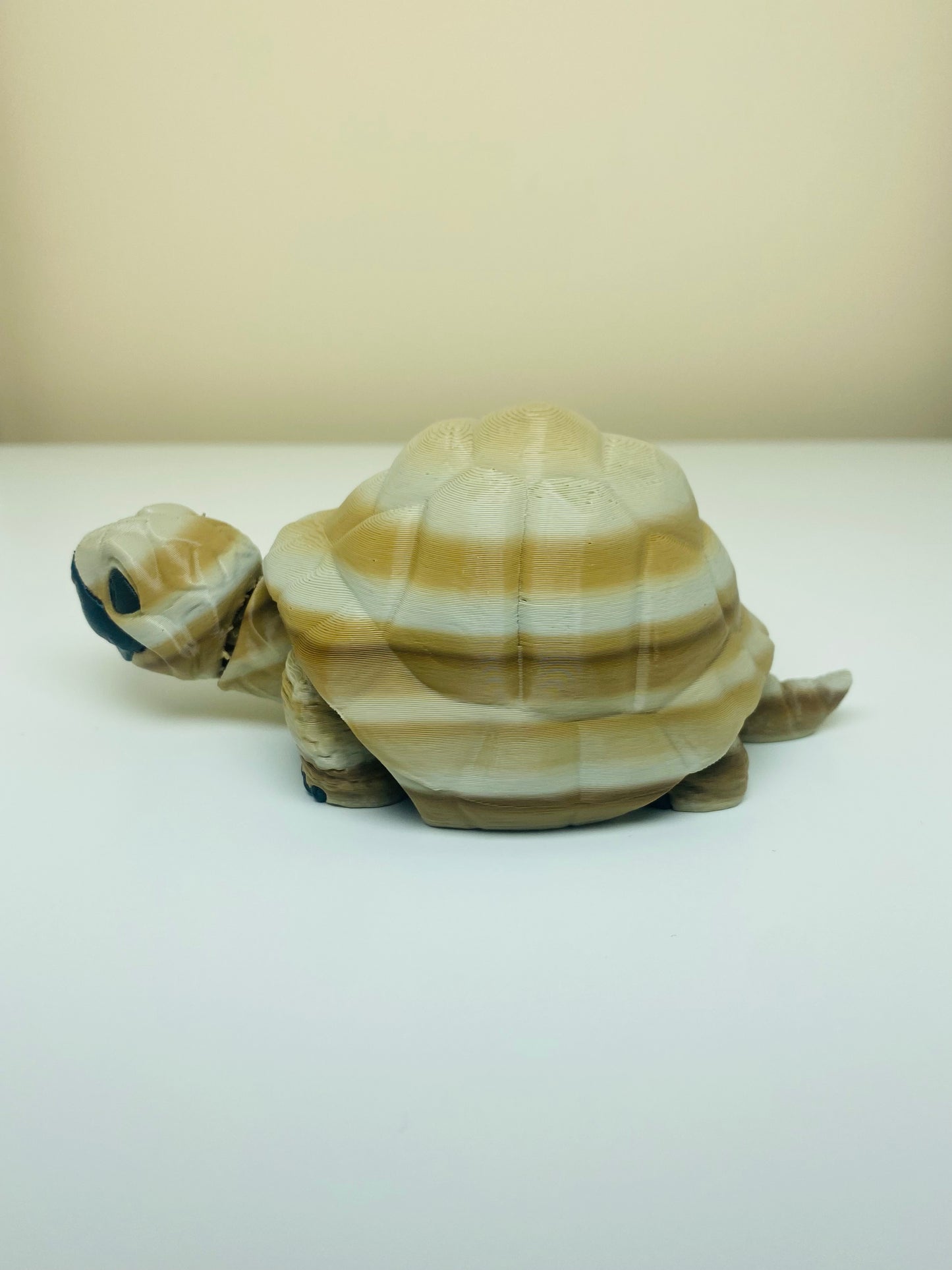desert bone tortoise