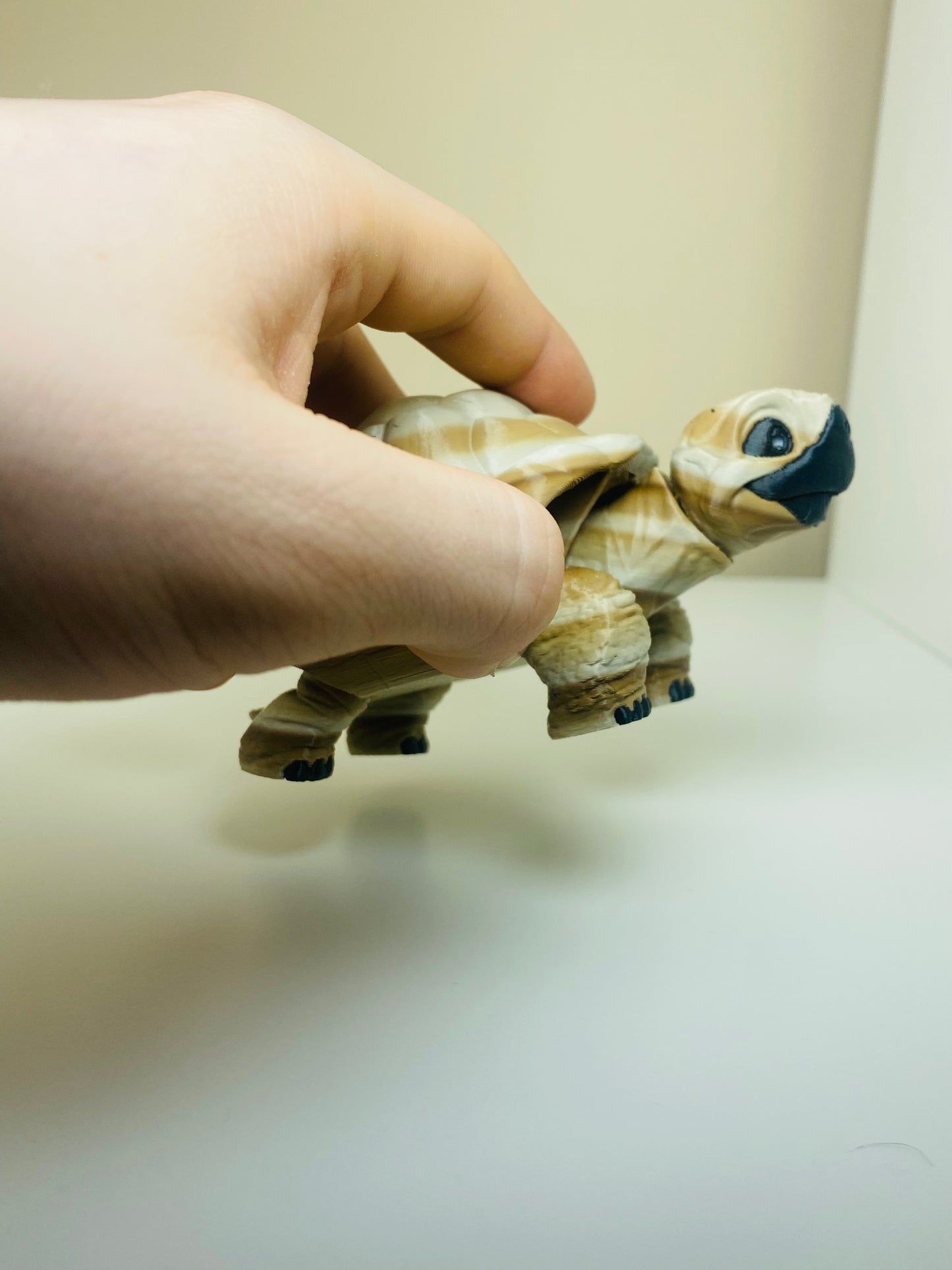 desert bone tortoise