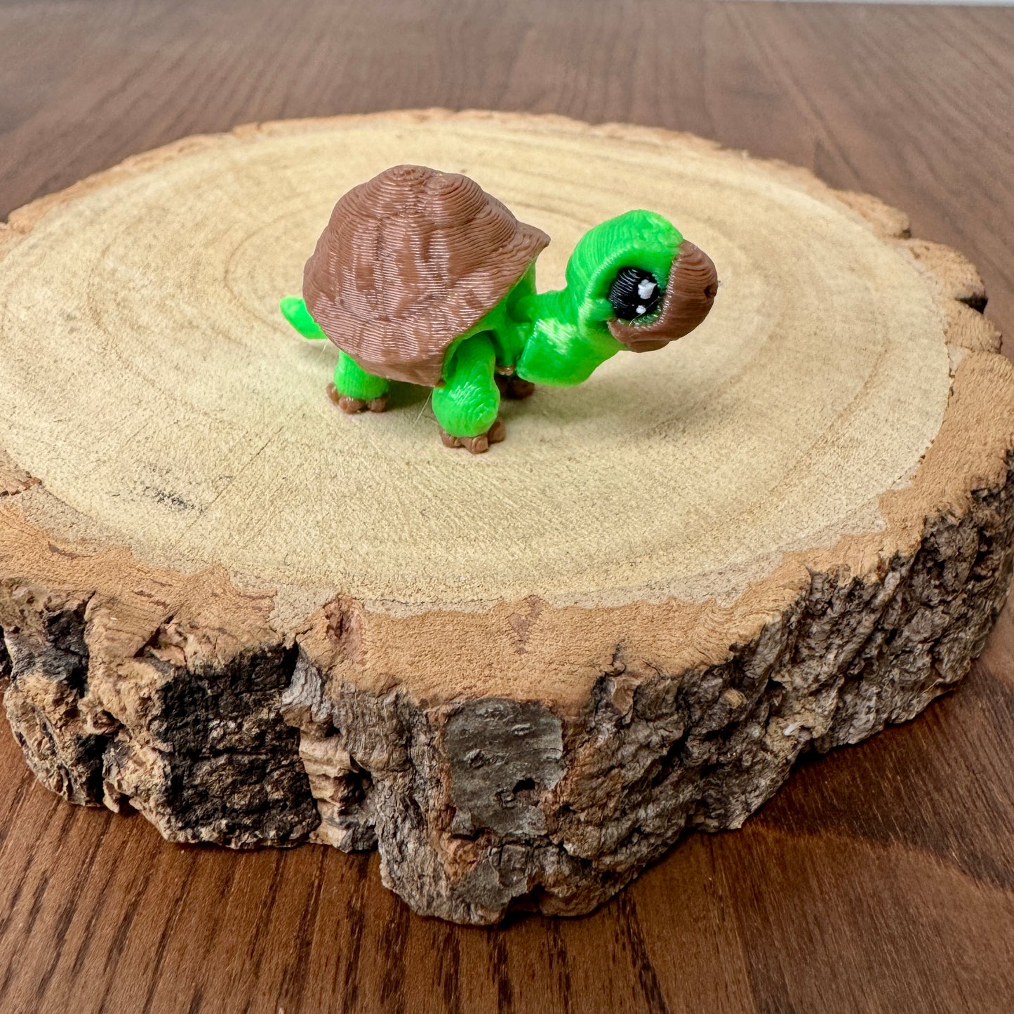 Articulated Tortoise mini
