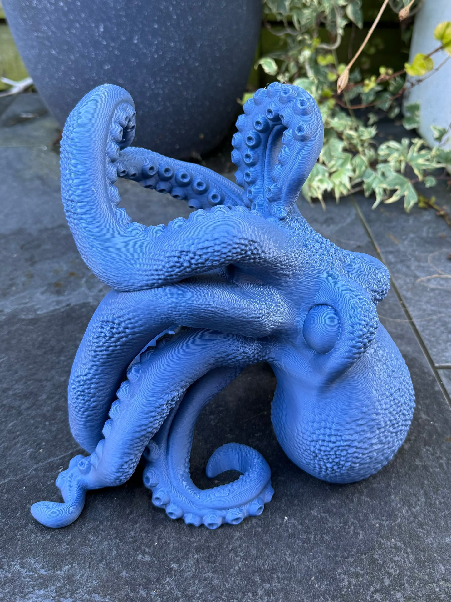 Kraken Bottle Holder