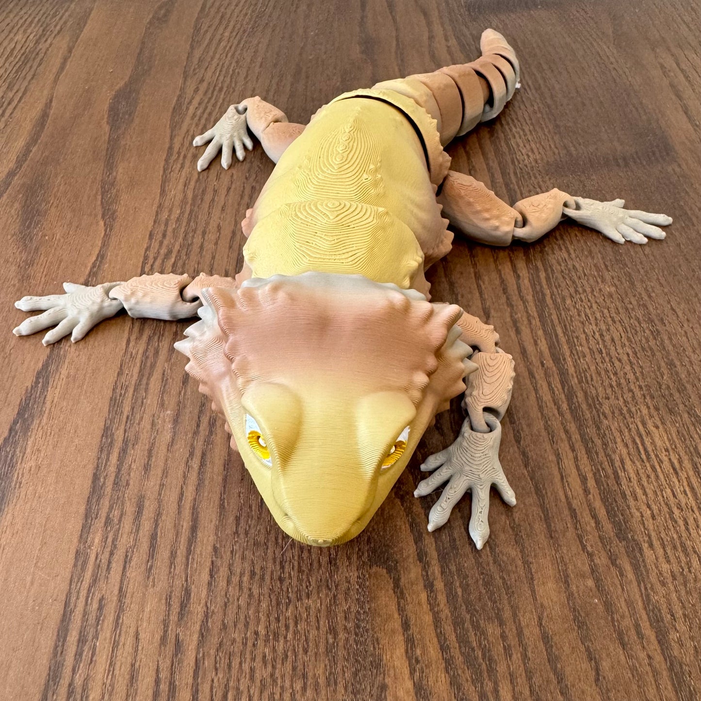 Articulated Bearded Dragon